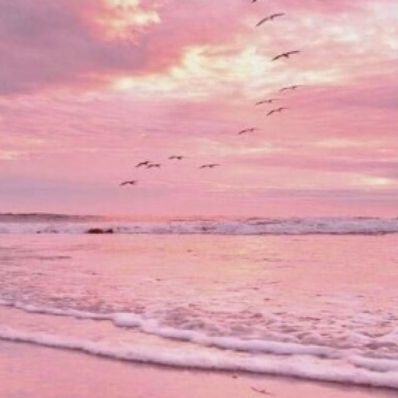 Meet your Posher, Alexa - Picture 1 of 1